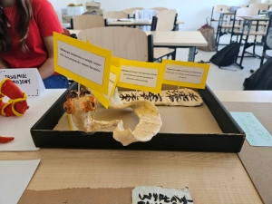 Zachwycający świat zwierząt - innowacja pedagogiczna. aktualność: Zachwycający świat zwierząt - innowacja pedagogiczna.